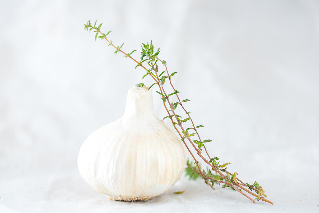 Garlic head and cloves placed with thyme on white paper on table