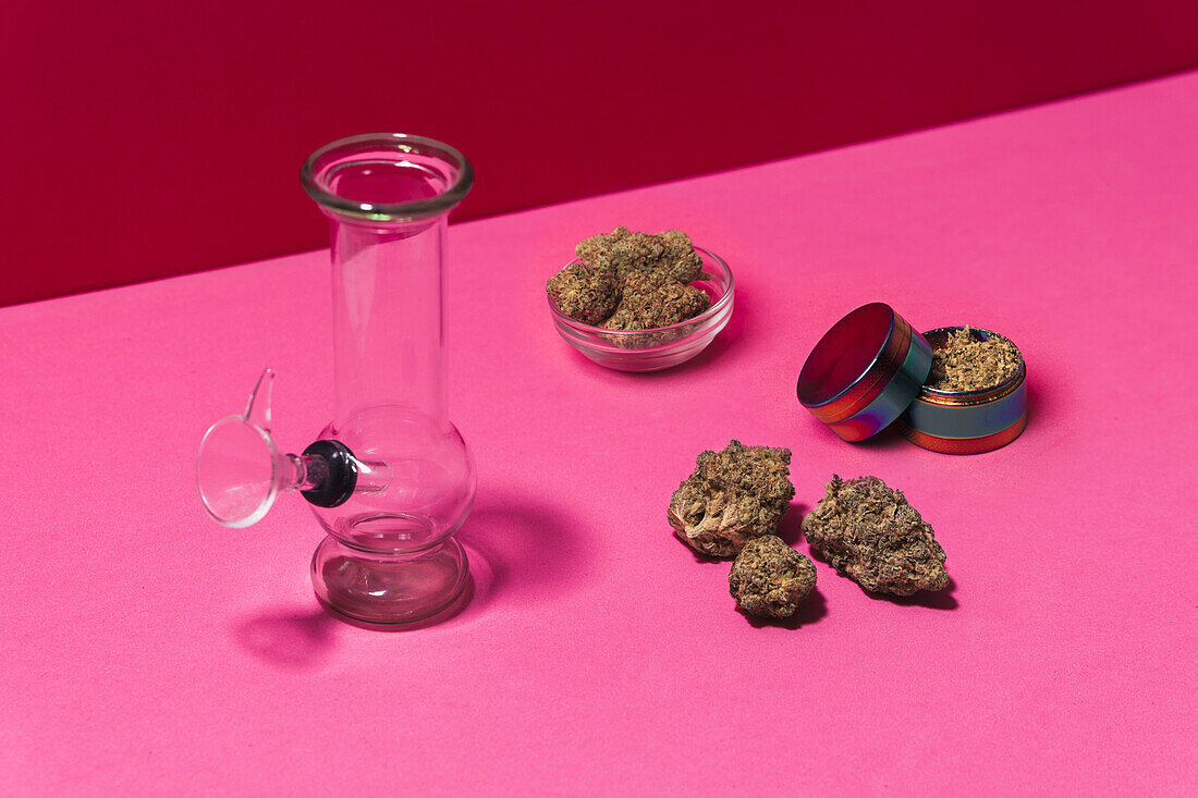 Composition of glass round bong placed near dry cannabis plant in bowl on pink surface