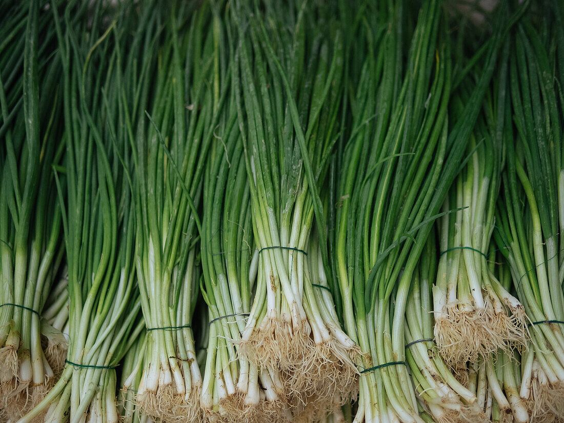 Top view of green fresh spring onions during harvest season