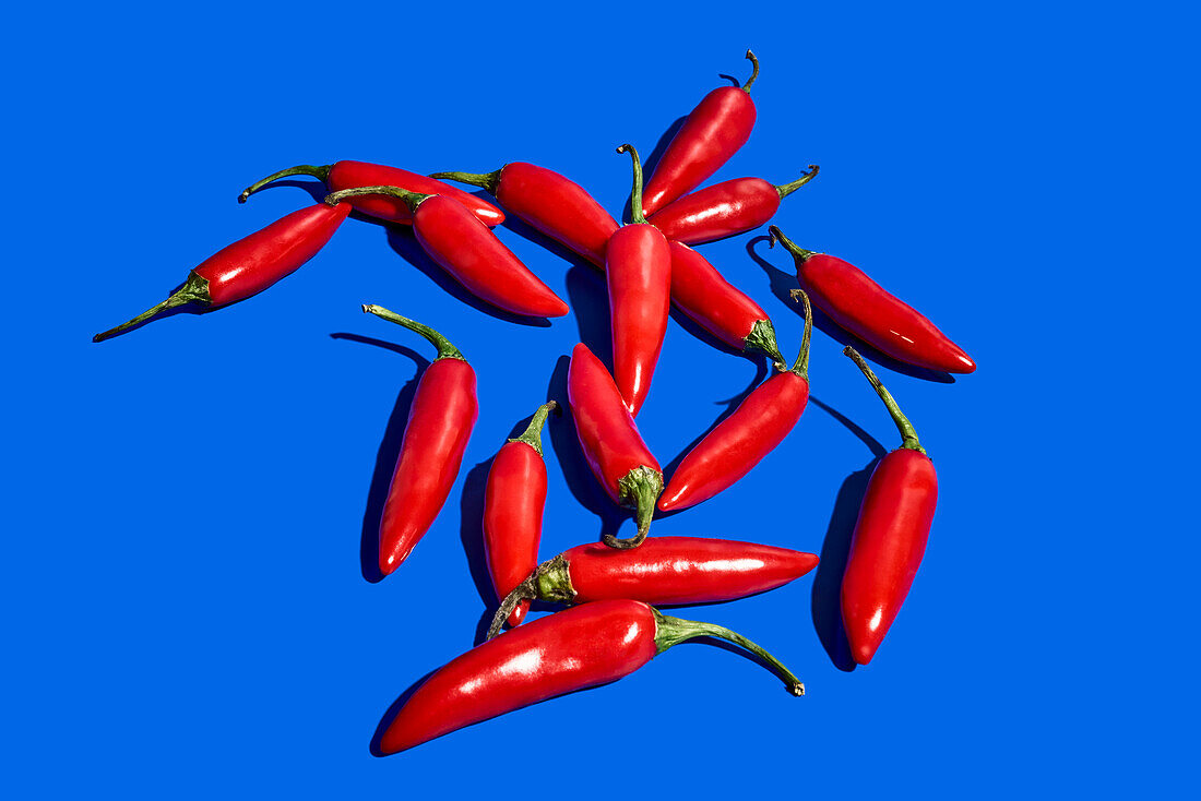 Top view composition with red fresh exotic peppers used as spice or condiment to flavor food on blue background