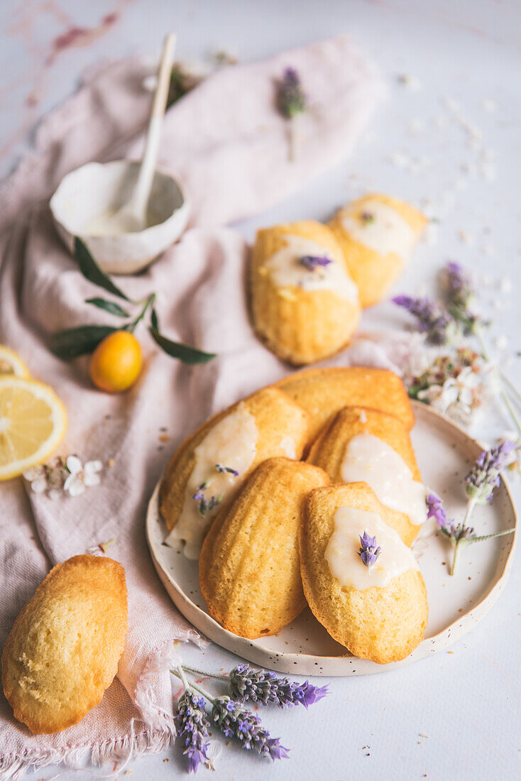 Draufsicht auf leckere Madeleines auf einem Teller zwischen frischen Zitronenscheiben und blühenden Lavendelzweigen auf zerknittertem Stoff