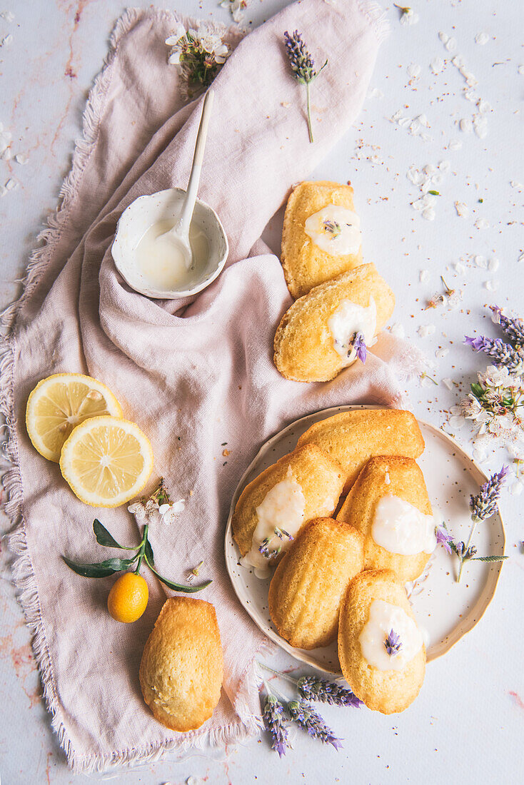 Overhead view of tasty madeleines on plate between fresh lemon slices and blooming lavender sprigs on crumpled textile