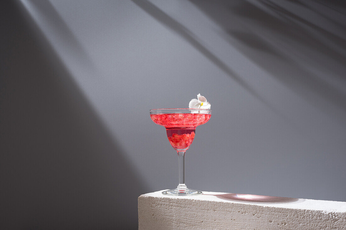Kristallglas mit Granatapfel-Margarita-Cocktail, serviert mit Blumenblüten auf Betonblöcken im Studio