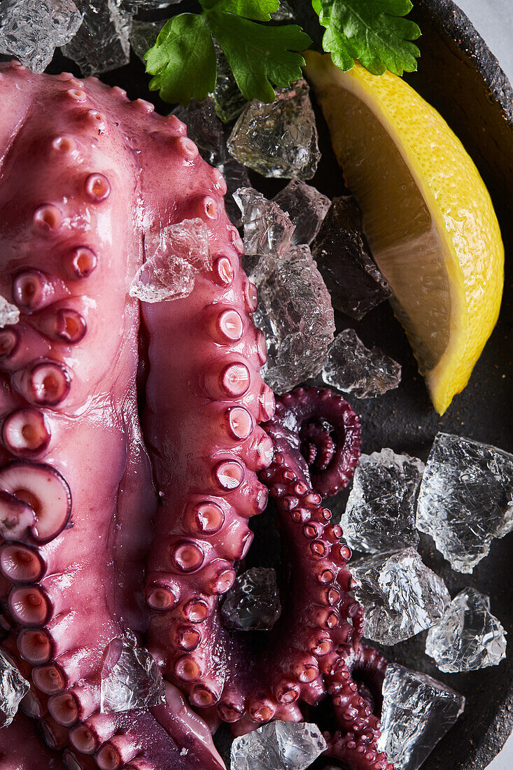 Köstlicher, appetitlich zubereiteter Oktopus auf einem runden Keramikteller mit Eiswürfeln und Zitrone