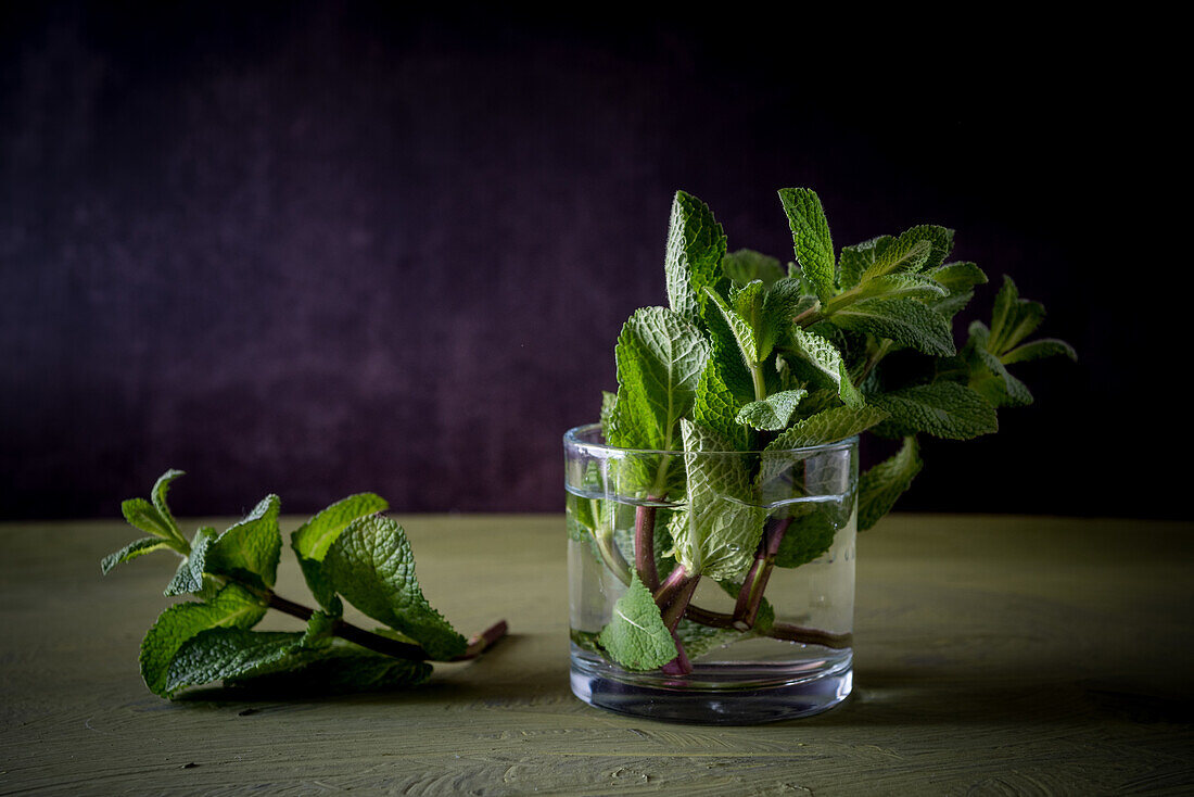 Grüne Minzzweige mit aromatischen Blättern in transparentem Glas mit reinem Aqua auf dunklem Hintergrund