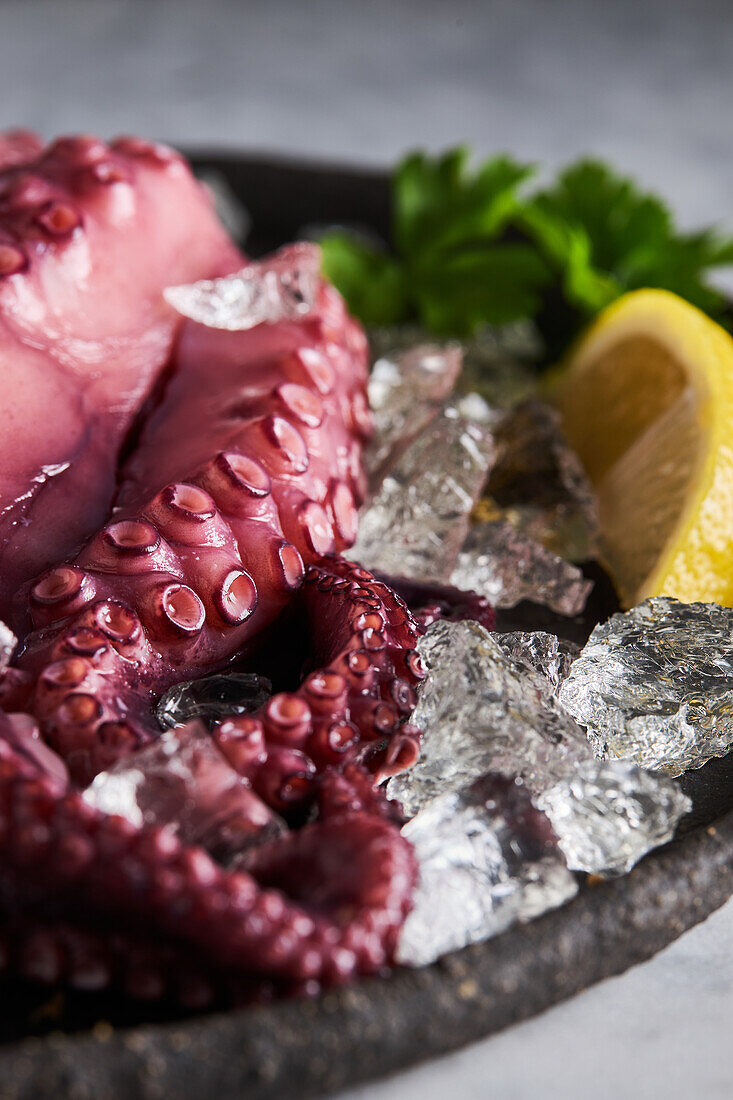 From above of delicious appetizing cooked octopus placed on round ceramic plate with ice cubes and lemon