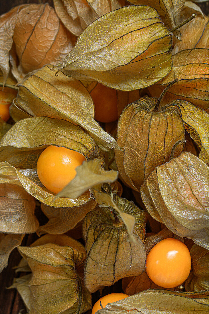 Background of Aguaymanto Peruvian GroundCherry on dark background