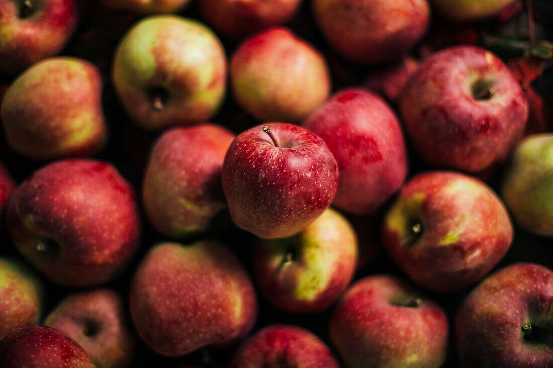 Fresh red apples on dark background