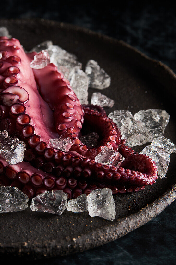 From above of delicious appetizing cooked octopus placed on round ceramic plate with ice cubes