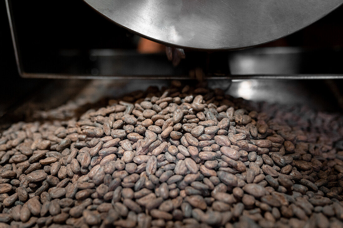 Von oben Bündel von gerösteten Kakaobohnen in der Trommel der Röstmaschine während der Arbeit im Café