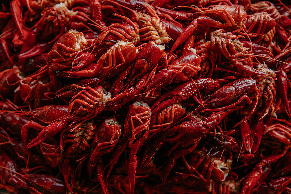 From above full frame background of pile of red shell covered freshwater or marine animal with claws