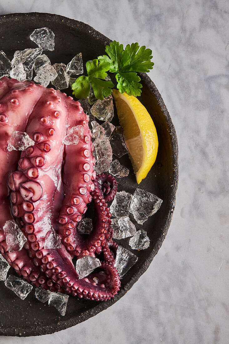 Draufsicht auf leckeren, appetitlich gekochten Oktopus auf rundem Keramikteller mit Eiswürfeln und Zitrone