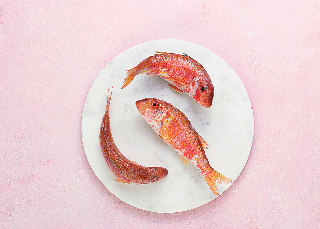 Top view of raw fishes in plate on pink background
