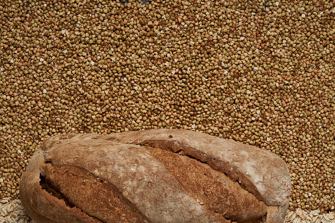 Top view of fresh healthy brown baked bread placed on raw buckwheat and oat grains in light room