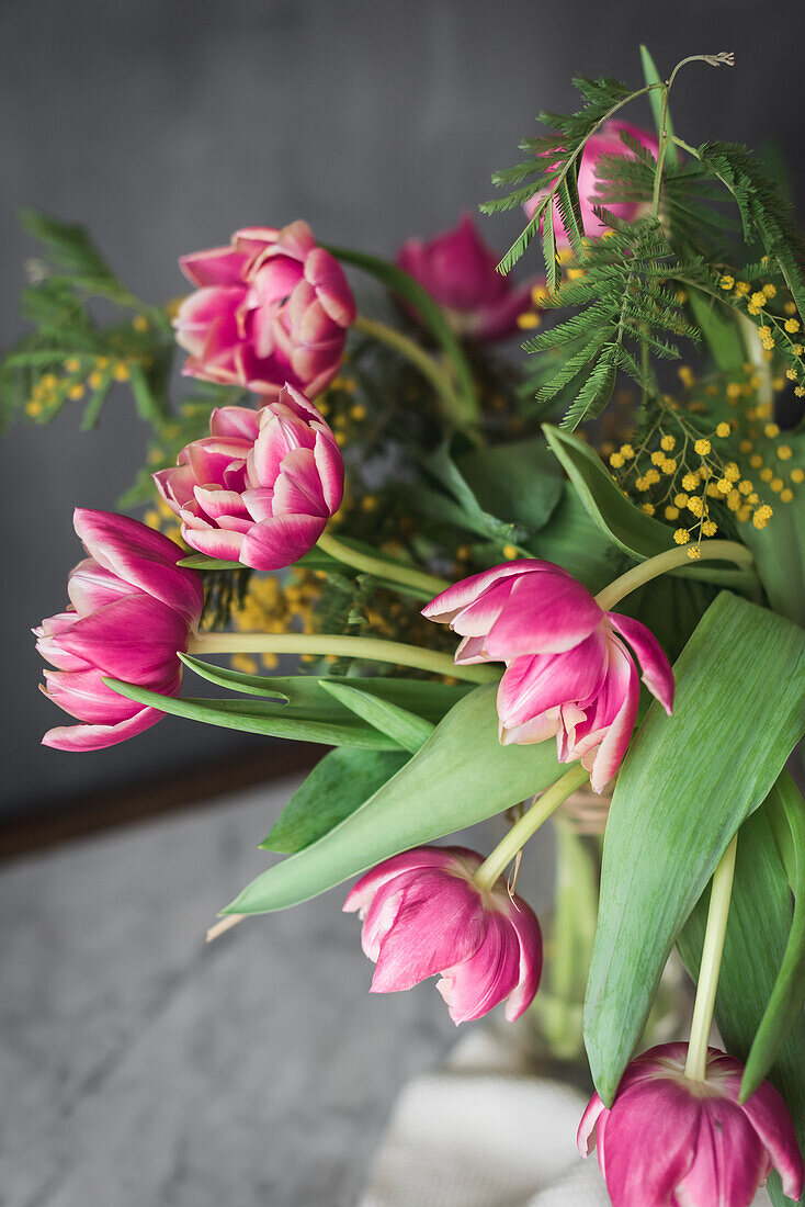 Blossoming pink flowers with gentle petals and green leaves in vase on gray background