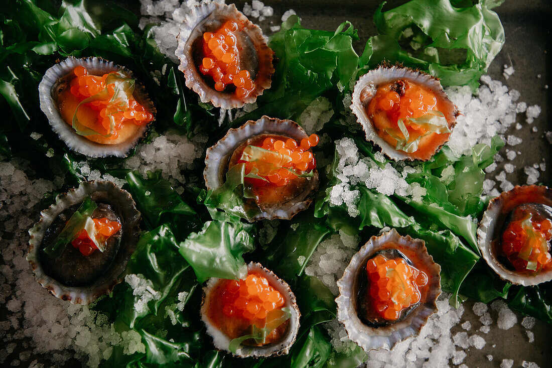 Top view of delicatessen exquisite oysters in shells with sea salt seaweed and caviar