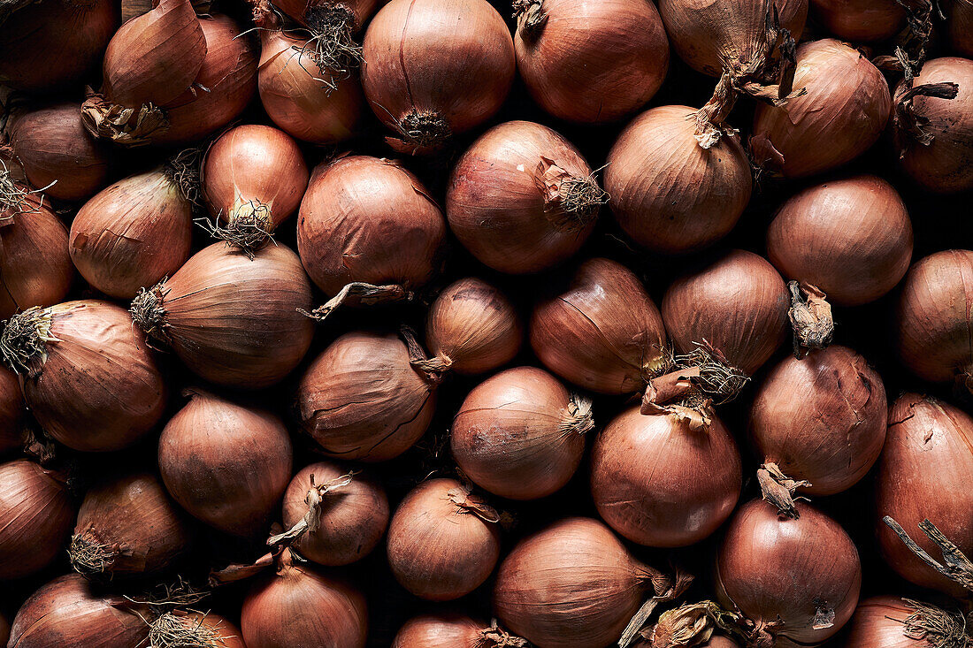 Top view of many fresh whole onions with dry peel arranged in pile
