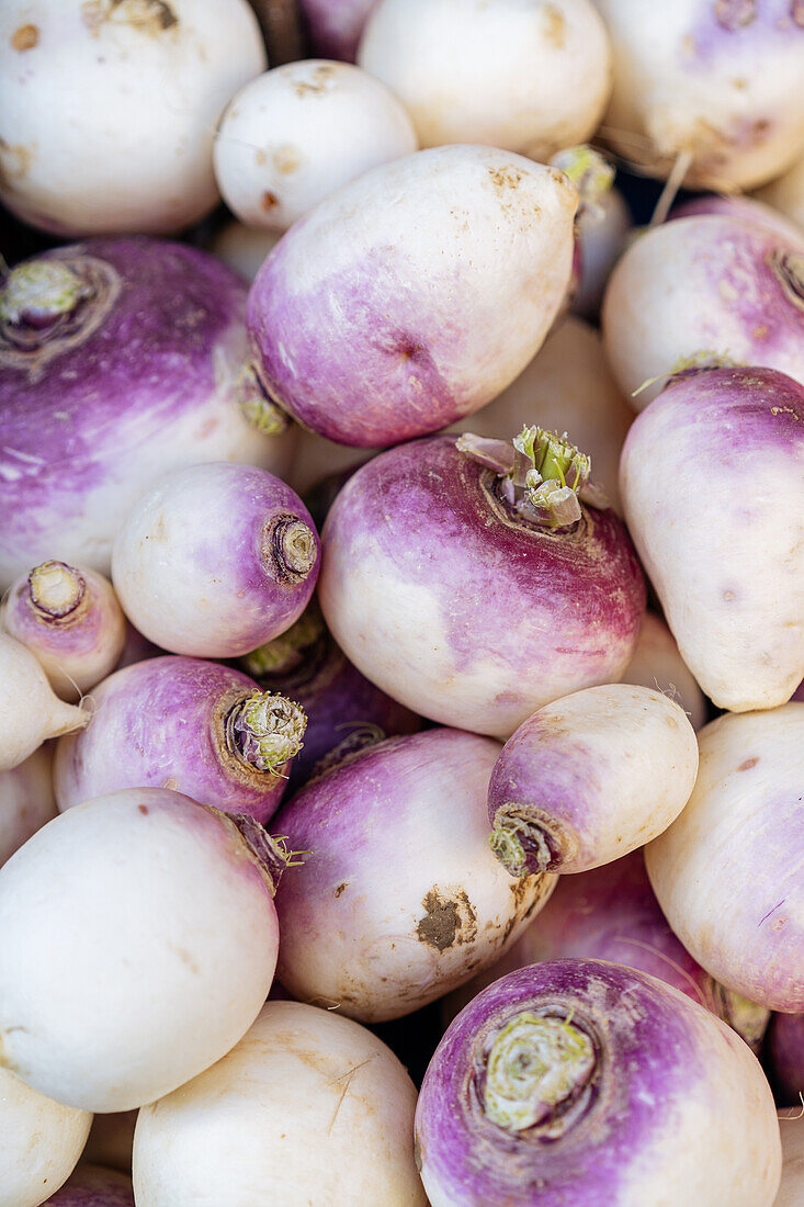 Von oben Vollbild Stapel von reifen rohen weißen rutabaga Gemüse mit lila Flecken auf Stand in lokalen Markt platziert