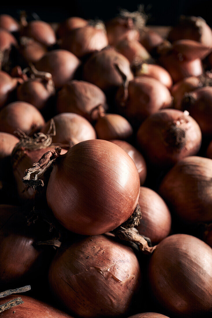 From above of many fresh whole onions with dry peel arranged in pile