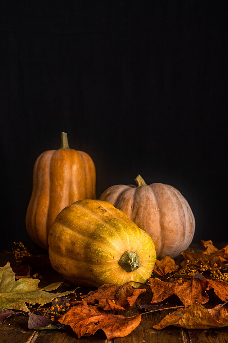 Composition of ripe orange pumpkins and dry autumn maple leaves placed on wooden table near black wall