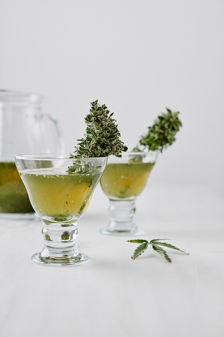 Small glasses with medical marijuana tea and green herbs placed on white surface near glass jar