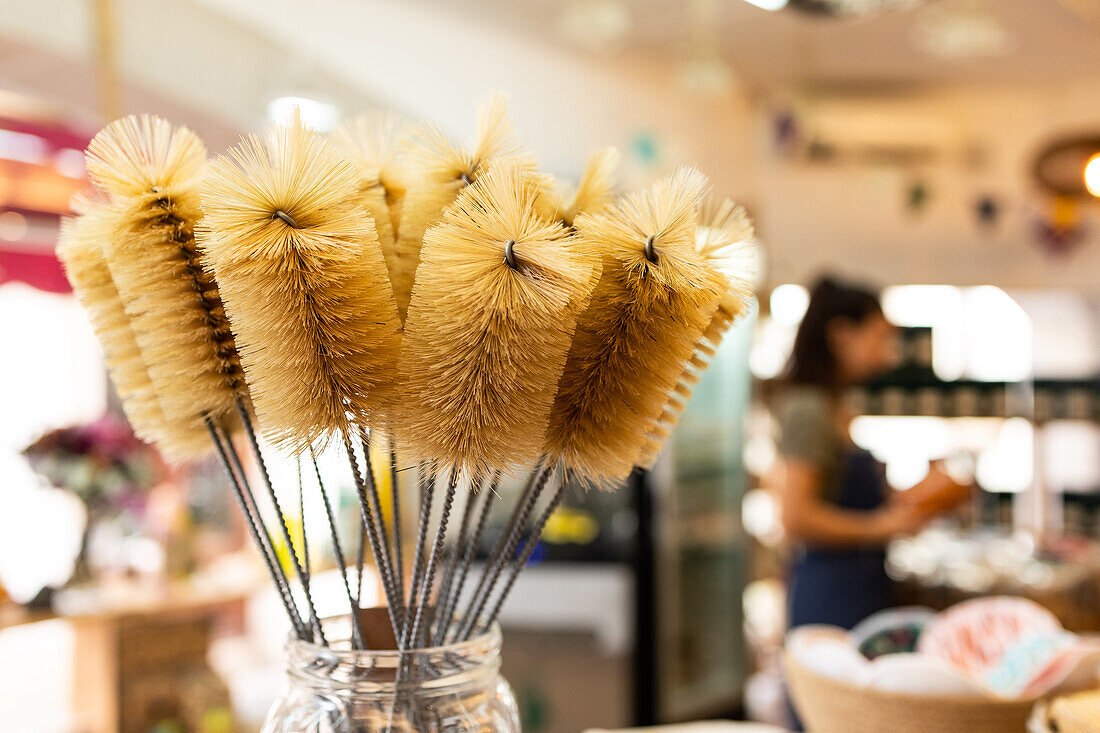Bunch of yellow bottle brushes in glass jar placed in light store for sale