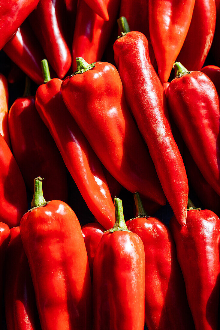 Von oben Vollbild von reifen rohen roten Paprika zusammen auf Stand in lokalen Markt mit hellem Sonnenlicht platziert