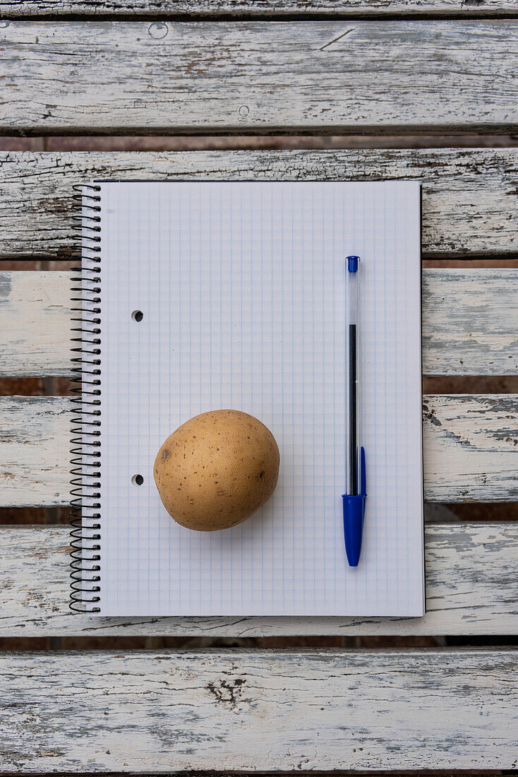 Draufsicht auf eine Kartoffel, die auf einem geöffneten Notizblock mit leeren Seiten auf einem Holztisch liegt