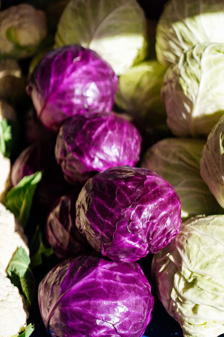 From above of fresh ripe red cabbage stacked together on stall in local market with bright sunlight on summer day