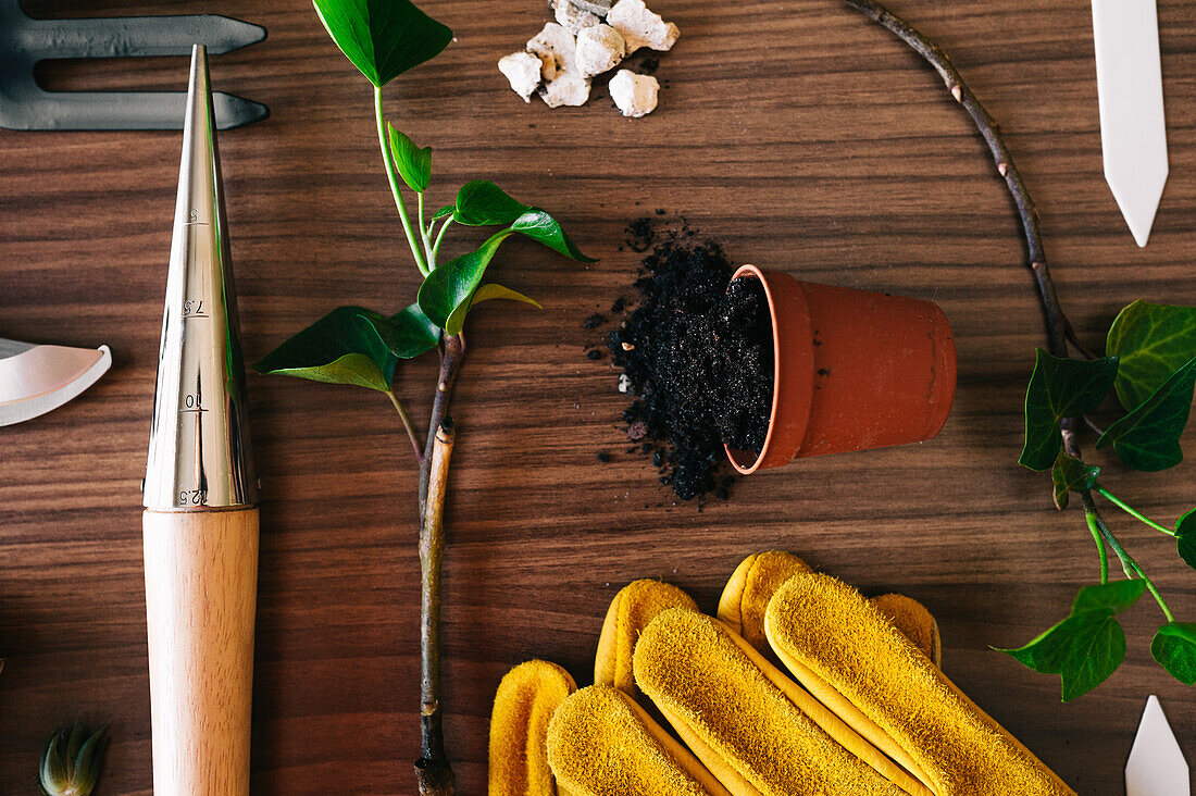 Flachbild von kleinen Gartengeräten mit Handschuhen und Blumentopf mit Pflanzen auf Holztisch