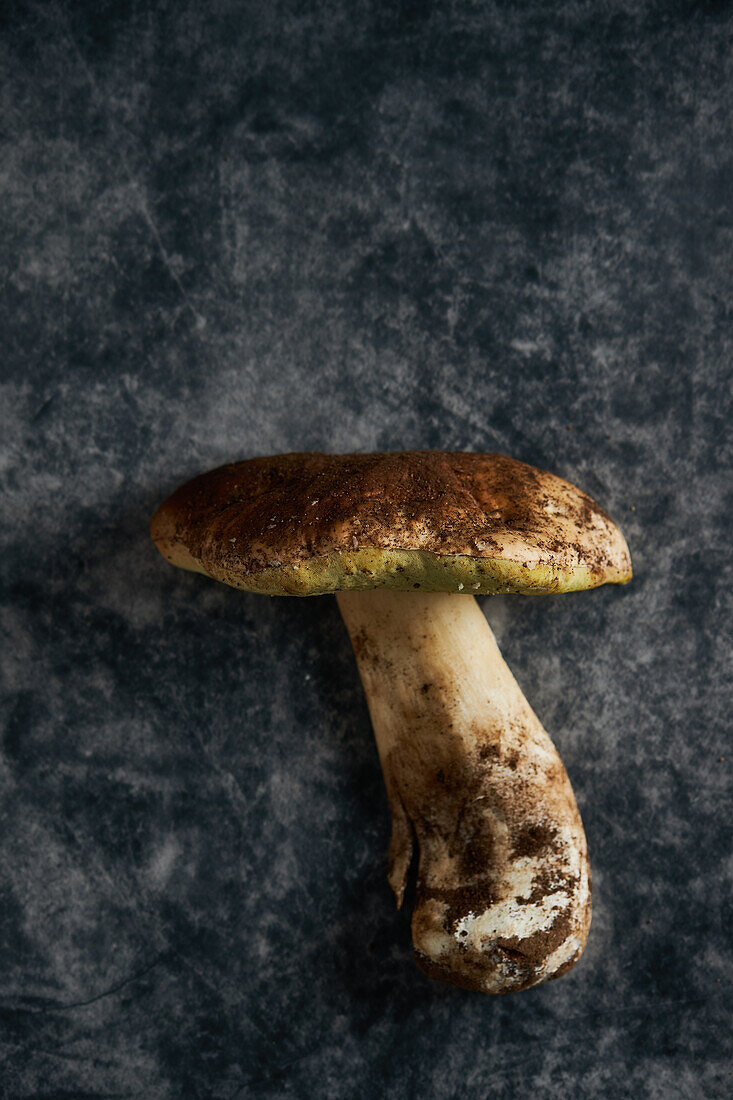 Draufsicht auf frischen rohen Steinpilz (Boletus edulis) mit dicken Stielen und Kappe auf marmorgrauem Hintergrund in einem hellen Raum