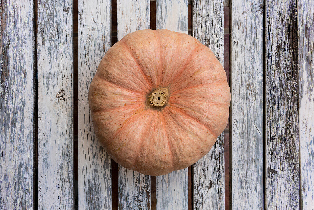 From above of fresh ripe pumpkin placed on wooden table in countryside after harvesting