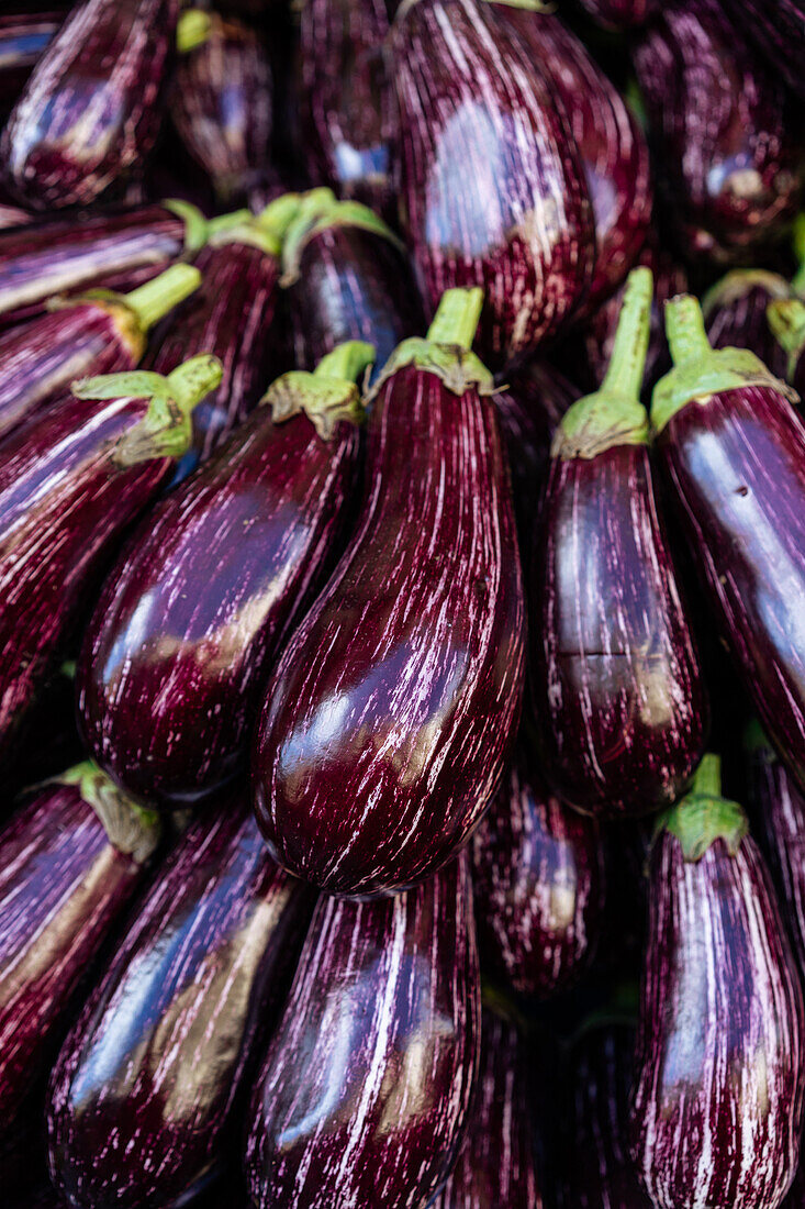 From above full frame stack of ripe raw purple eggplant vegetable with purple spots placed on stall in local market