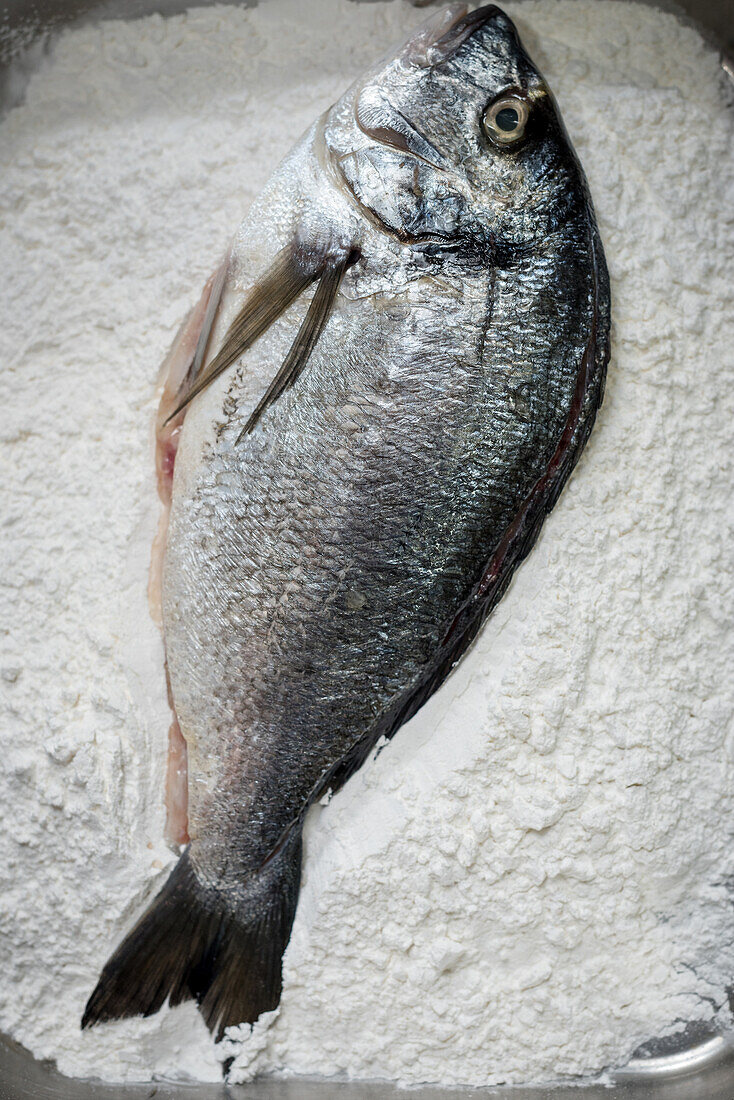 Draufsicht auf frischen, ungekochten Rotaugenfisch, der während des Kochvorgangs in der Küche auf einen Haufen Weißmehl gelegt wird