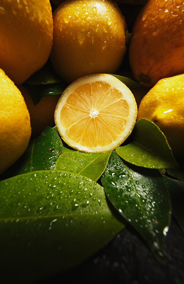 Appetitliche frische reife saftige Orangen und Zitronen mit Wassertropfen und grünen Blättern