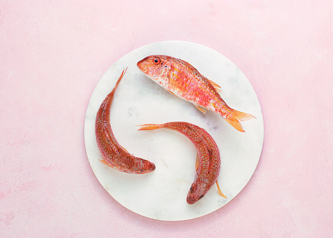 Draufsicht auf rohen Fisch in einem Teller auf rosa Hintergrund