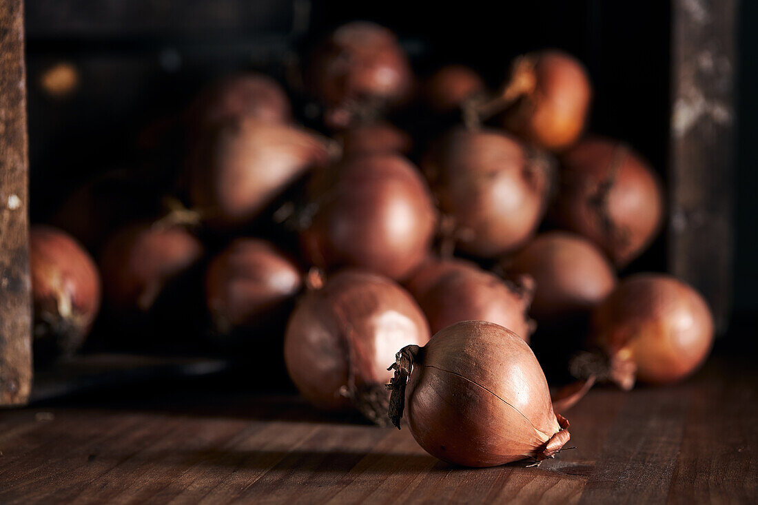 Many fresh whole onions with dry peel arranged in pile