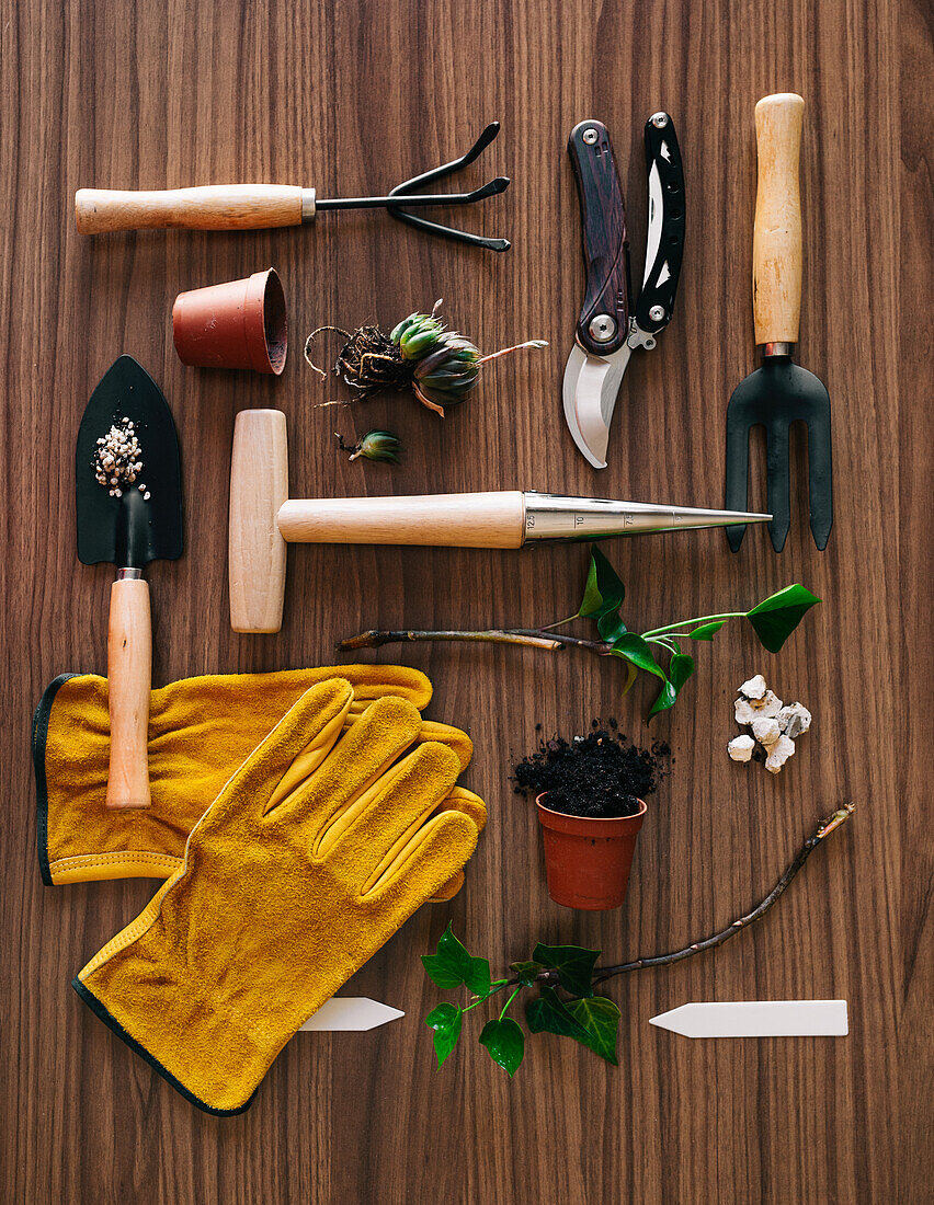 Flachbild von kleinen Gartengeräten mit Handschuhen und Blumentopf mit Pflanzen auf Holztisch