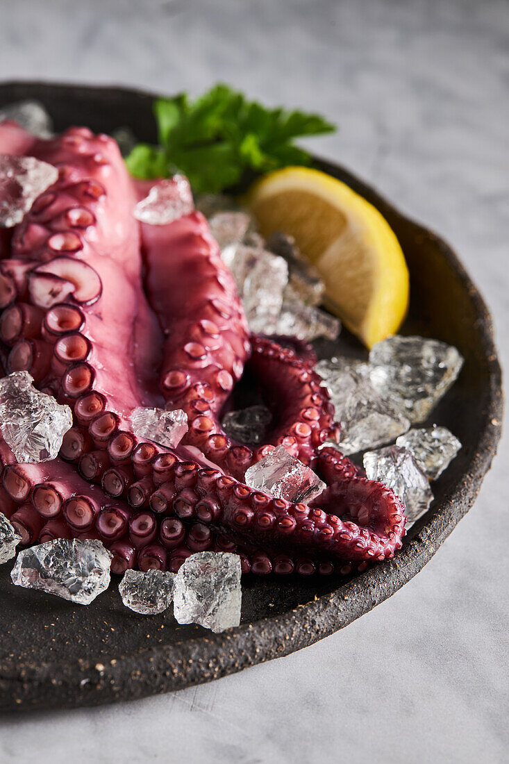 From above of delicious appetizing cooked octopus placed on round ceramic plate with ice cubes and lemon