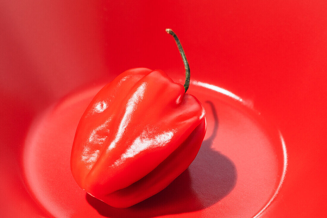 Red bowl with hot habanero pepper placed on red plate