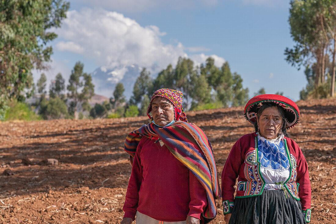 Couple of aged Peruvian farmers in bright traditional clothes standing in rural area in harvest season in Chinchero
