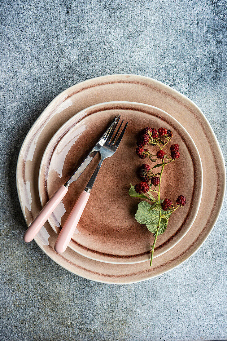 From above pink stoneware plates setting with fresh blackberries served on the dark concrete table
