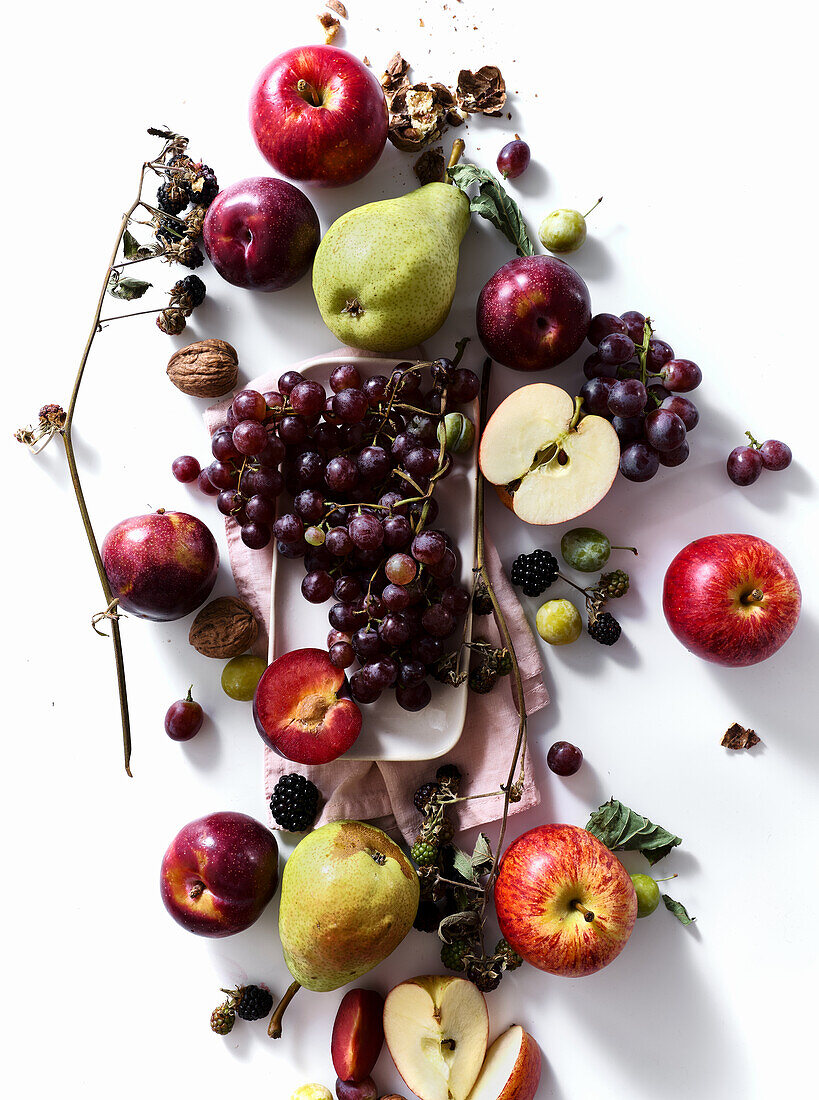 Komposition mit frischen Sommerfrüchten und Beeren auf weißem Hintergrund. Trauben, Pflaumen und Äpfel im Sonnenlicht