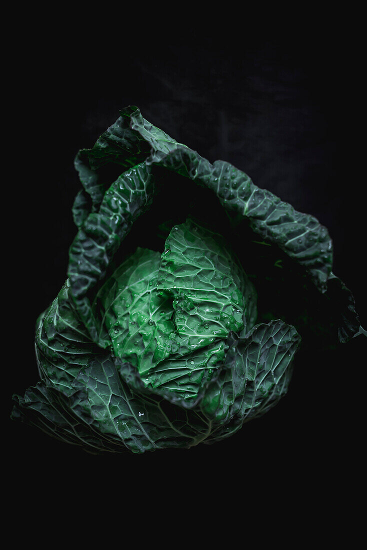 From above dramatic image of green fresh cabbage over dark background