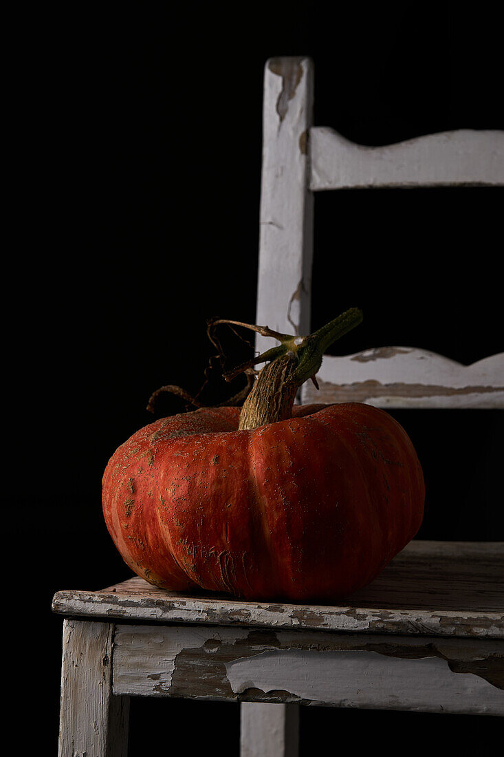 Whole ripe pumpkin with slightly ribbed skin placed on wooden white chair against black background