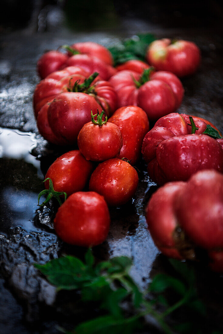 Diverse frische Tomaten auf schwarzem Brett