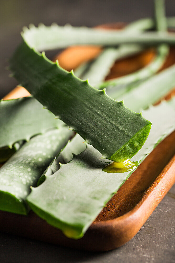 Aloe vera leaves on dark background