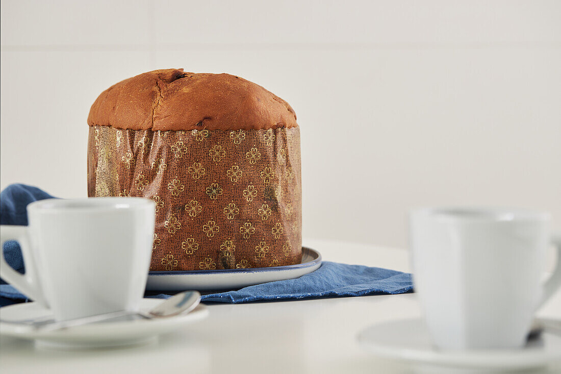 Uncut fresh baked artisan Christmas panettone cake on plate placed on blue cloth next to cups against white wall