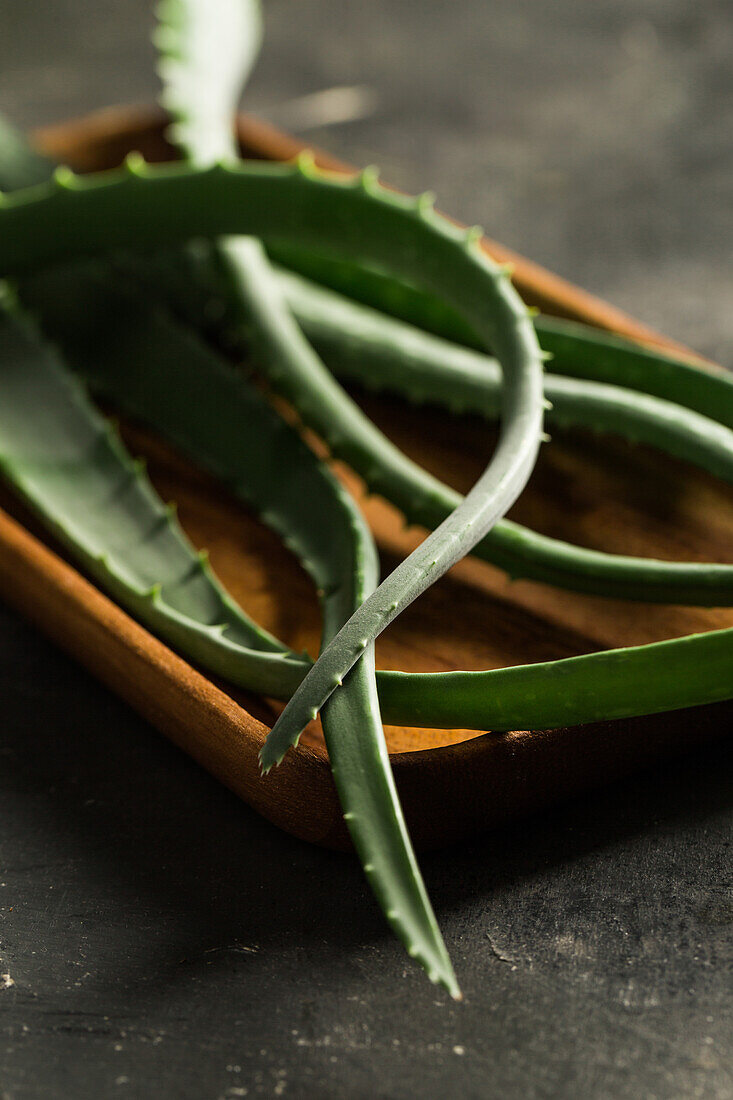 Aloe vera Blätter auf dunklem Hintergrund