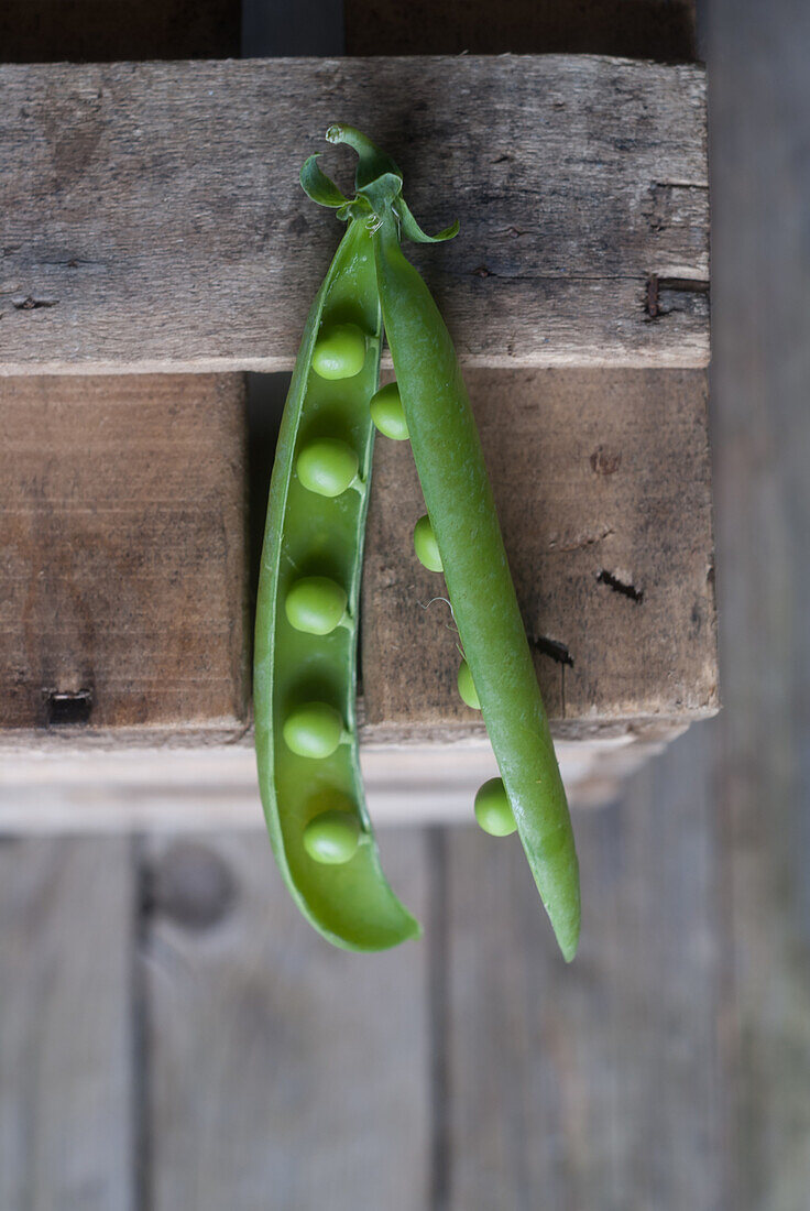 From above closeup view of fresh opened pod with shiny peas on wood